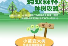 蚂蚁森林所有获取能量的方式-工具猫